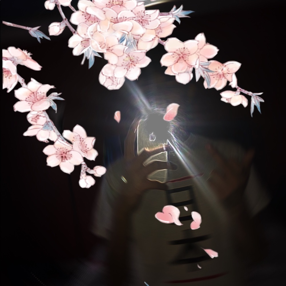 Meet your Posher, Brallan